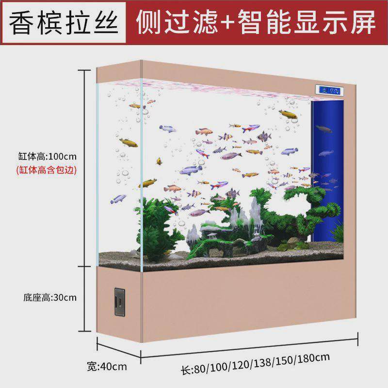 Hp超白玻璃鱼缸客厅家用屏风隔断免换水族箱双面立体生态金鱼,宠物/宠物食品及用品,桌面缸,淘宝优惠券,粉丝福利购,淘宝优惠卷