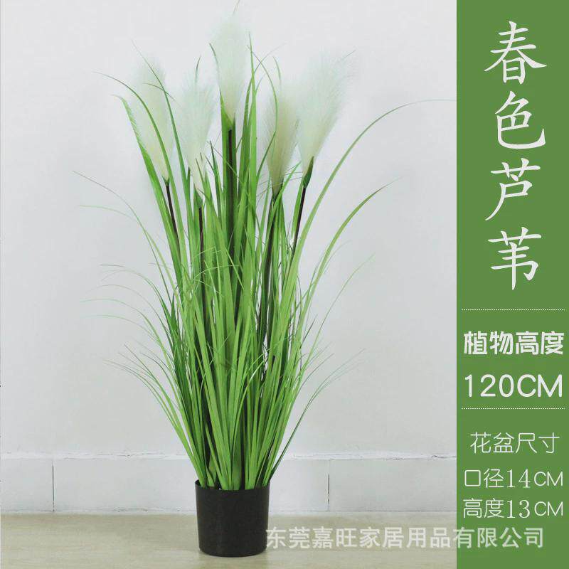 北欧绿植仿真芦苇盆栽干花假花道具水生植物蒲苇装饰落地盆景摆件