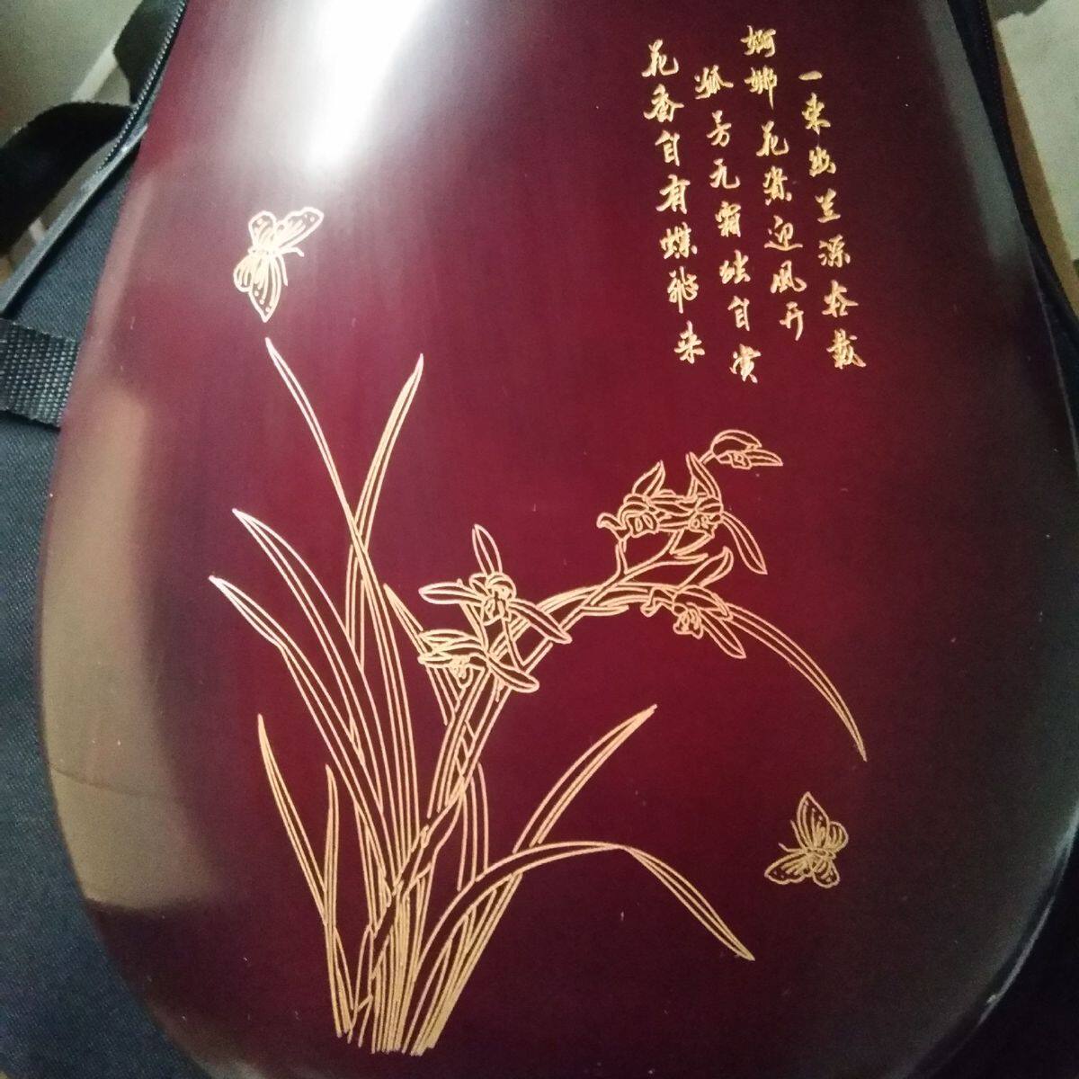 琵琶儿童古典初级练手成人民族乐器琴高端黑色送配件六件套