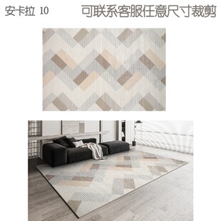 加厚高级客厅地毯耐脏易打理卧室简约轻奢别墅床柔软大客厅地毯