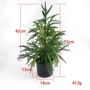 饰 仿真圣诞诺福克松树绿植盆栽桌面摆件人造圣诞树客厅家居装