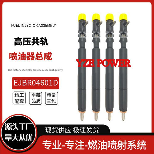 EJBR04601D适用双龙路帝2.7T德尔福喷油器A6650170321雷斯特五缸