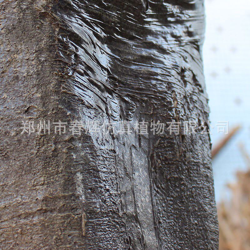 仿真桃花树大型玻璃钢假桃花树仿真红色桃花树婚庆小桃花树盆栽