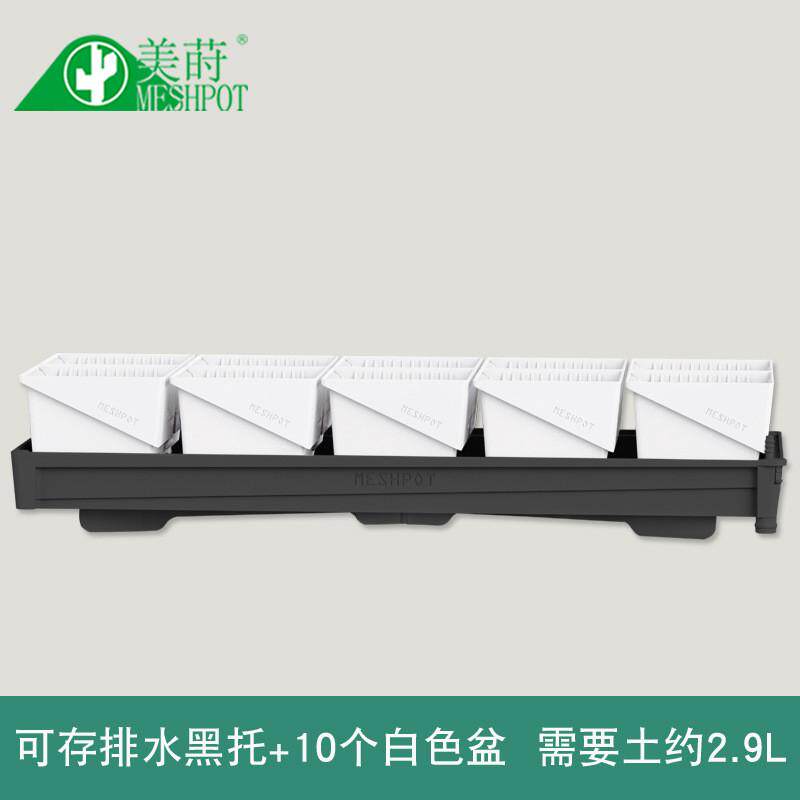 美莳控根多肉花盆塑料套装组合创意透气肉肉控型盆器带托盘小,鲜花速递/花卉仿真/绿植园艺,花盆,淘宝优惠券,粉丝福利购,淘宝优惠卷