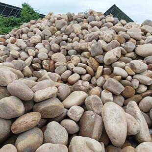 天然河道鹅卵石厂家供应变电站用河卵石污水处理鹅卵石大量现货