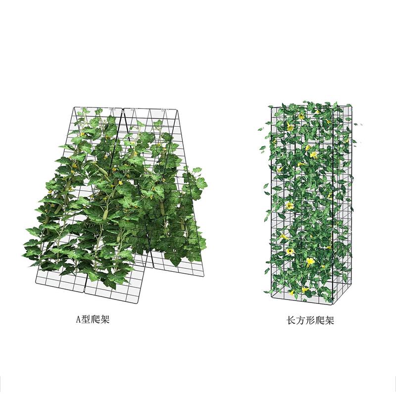 瓜架黄菜地支架种植黄瓜架豆角架攀爬支架植物葡萄爬藤架
