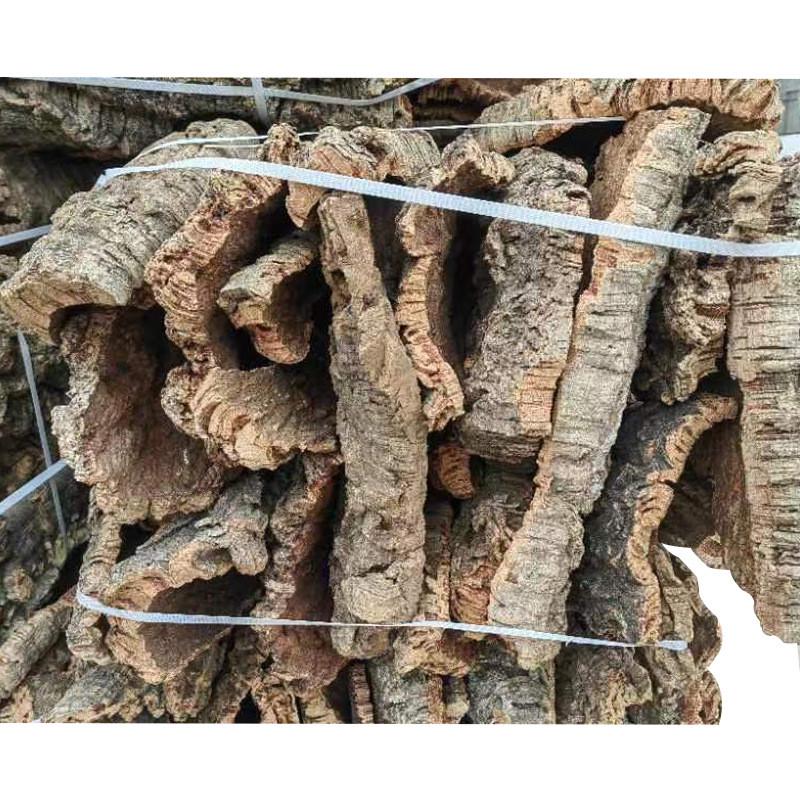 【现货】进口软木树皮爬宠躲避鹿角蕨洋兰空凤石斛植板造景头道皮
