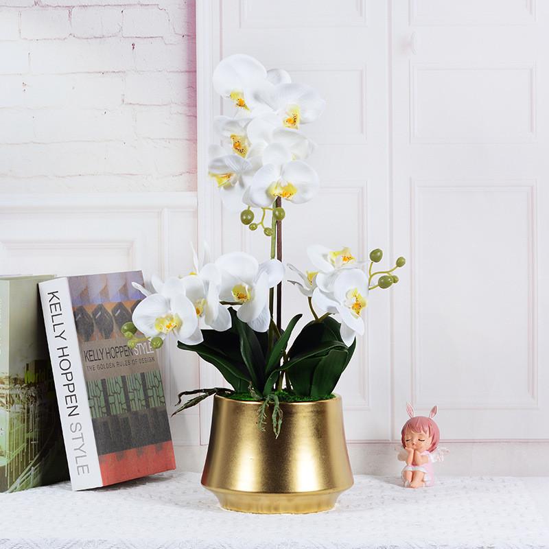 仿真蝴蝶兰仿真胶片金盆北欧花艺摆件假花盆栽栽绿植盆景仿真植物