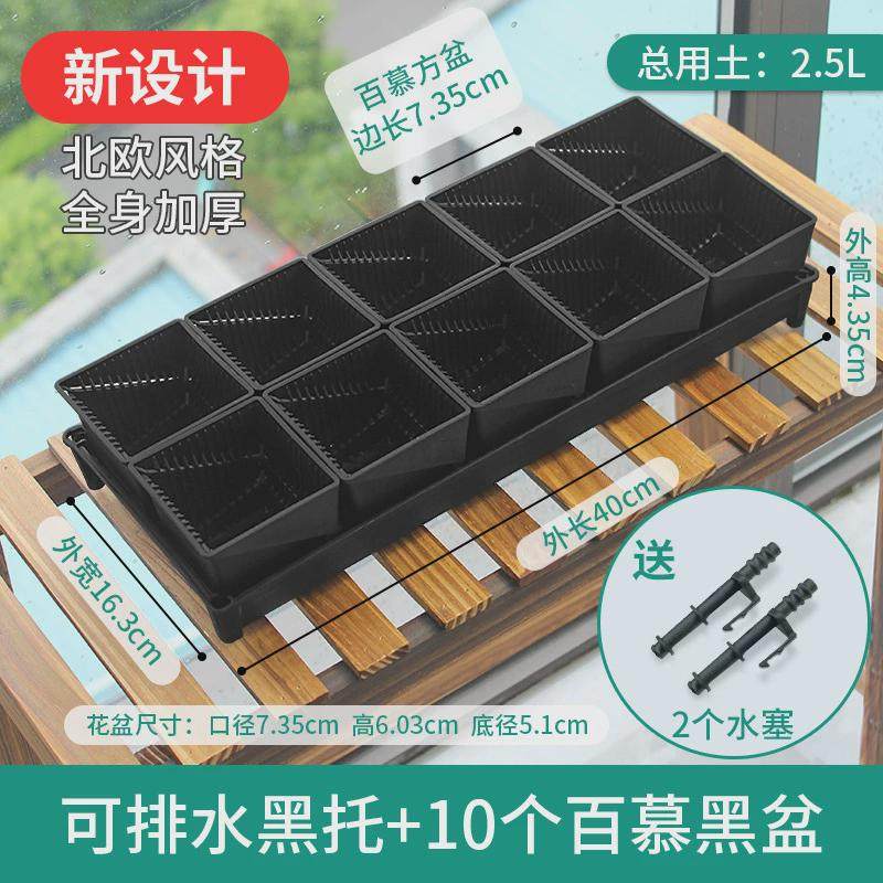 跨境美莳控根多肉花盆塑料套装组合创意透气肉肉控型盆器带托盘小,鲜花速递/花卉仿真/绿植园艺,花盆,淘宝优惠券,粉丝福利购,淘宝优惠卷