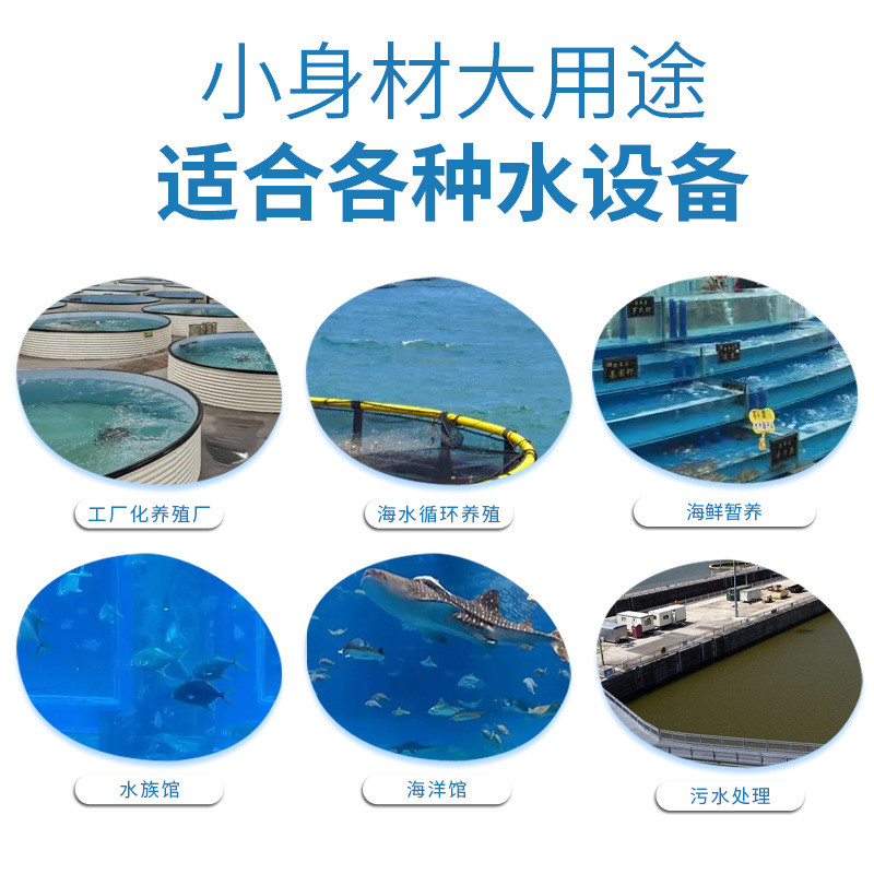 FD蛋白分离器海洋馆净水过滤设备工厂化循环水产养殖泡沫分离器