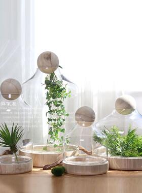 厂家北欧原木球实木装饰圆木球透明玻璃罐罩微景观玻璃花房摆件设