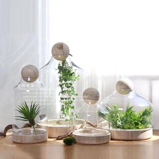 厂家北欧原木球实木装 饰圆木球透明玻璃罐罩微景观玻璃花房摆件设