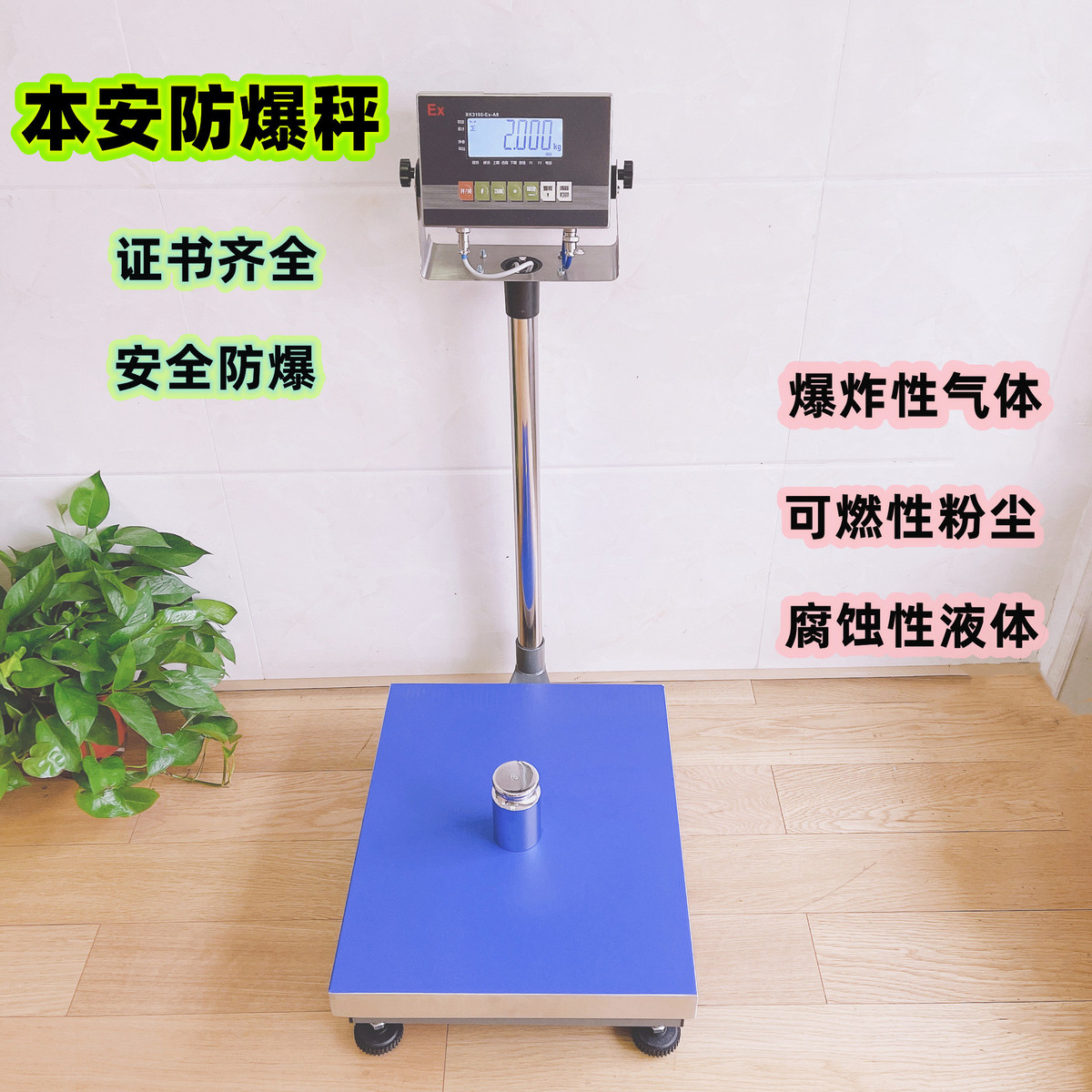 本安型防爆台秤100kg300公斤电子防爆称化工防爆称200kg电子秤1g
