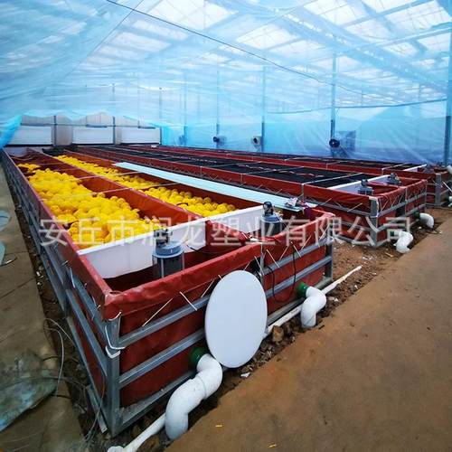 鱼菜共生大棚槽大型农场养殖场种植园厂家种植种植槽