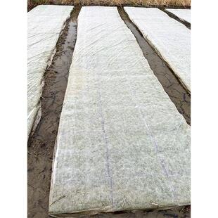 常熟供应无纺布布盖保湿透气膜保湿农用园艺地农用草抑草透气地膜