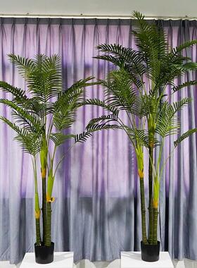 仿真葵树散尾葵落地盆栽北欧风格棕榈树假树