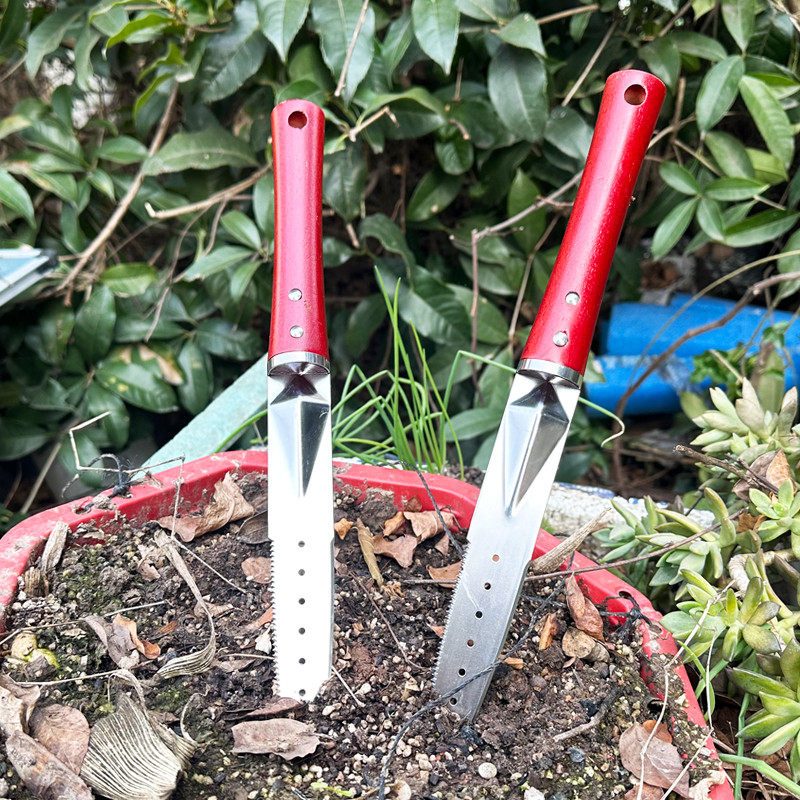 多功能不锈钢盆景铲子盆栽换盆工具移植铲移栽工具园艺工具长尖铲,鲜花速递/花卉仿真/绿植园艺,园艺用品套装,淘宝优惠券,粉丝福利购,淘宝优惠卷