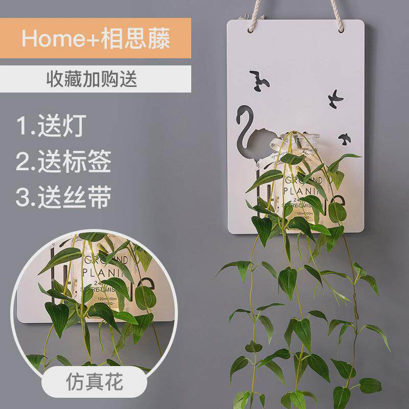 客厅墙面装饰品ins风房间卧室墙壁上小挂件花草创意壁饰室内墙饰