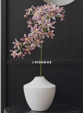 ins风口条纹简约窄白色陶瓷花瓶茶几餐桌办公桌精致水养插花装饰