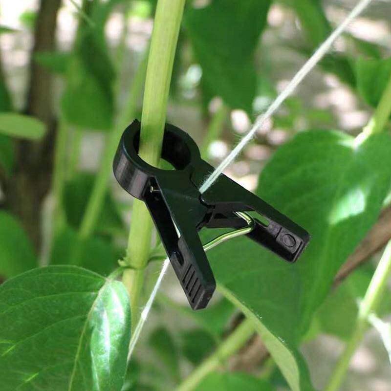 吊秧夹番茄支撑黄瓜西红柿茄子吊秧夹夹子室外瓜果爬藤植物固定夹,鲜花速递/花卉仿真/绿植园艺,园艺用品套装,淘宝优惠券,粉丝福利购,淘宝优惠卷
