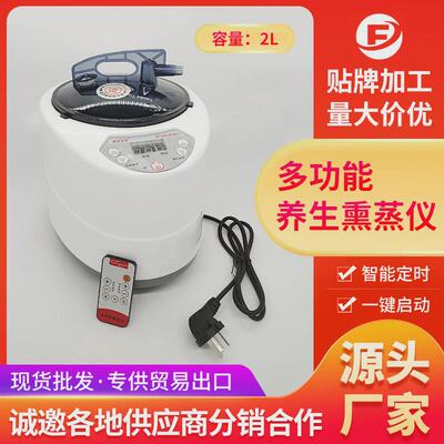 工厂多功能全身SPA熏蒸仪桑拿美容理疗汗蒸机养生熏蒸机2L