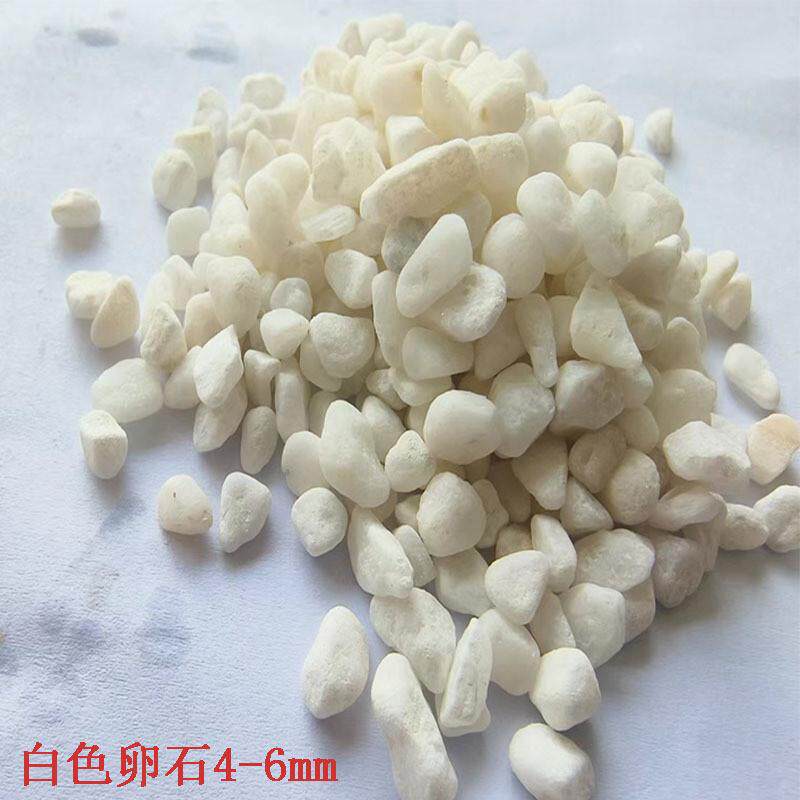 白色鹅卵石庭院铺路白石子鱼缸园林白色装饰用造景石子现货供应
