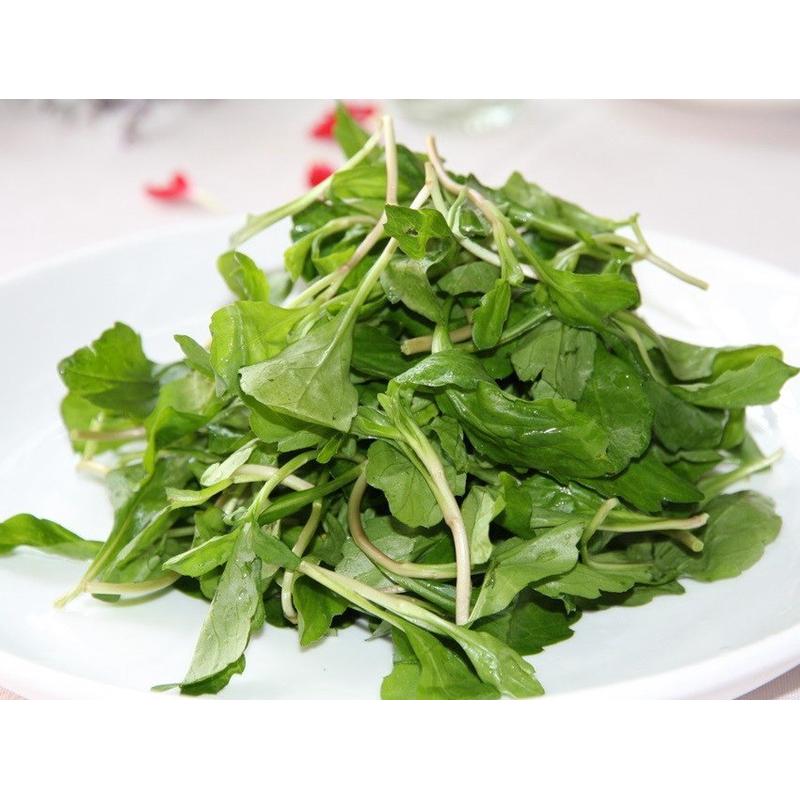 农家马兰头干 农家菜 蔬菜 干野菜 螃蜞头草田边菊 特嫩