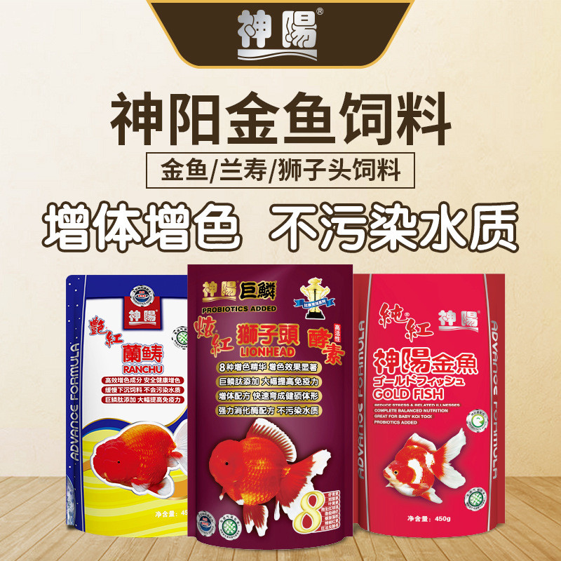 玉鲭兰寿狮子头专用饲料粮强增色泰狮食小颗粒