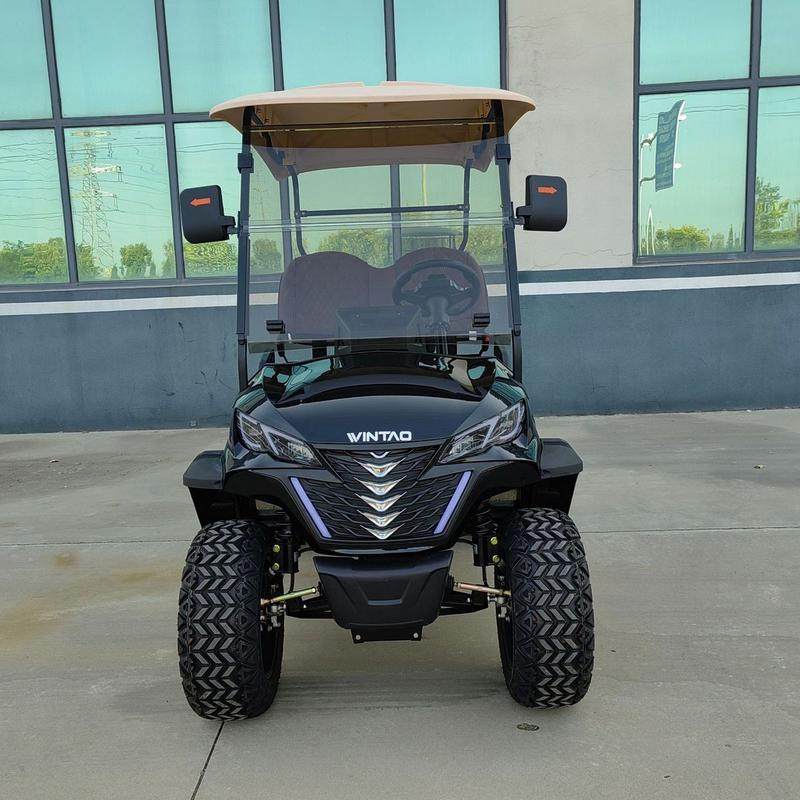 电动观光车小区巡逻景车旅游游览车酒店外贸工厂越野电动高尔夫球