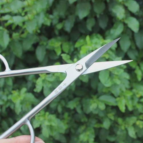 千藤坊不锈钢215mm插花剪叶芽剪刀切枝园艺剪刀量大从优一件也批