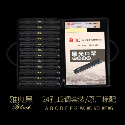 国光口琴套装12大调#ABCDEFGD调24孔复音成人高端专业演奏国之梦