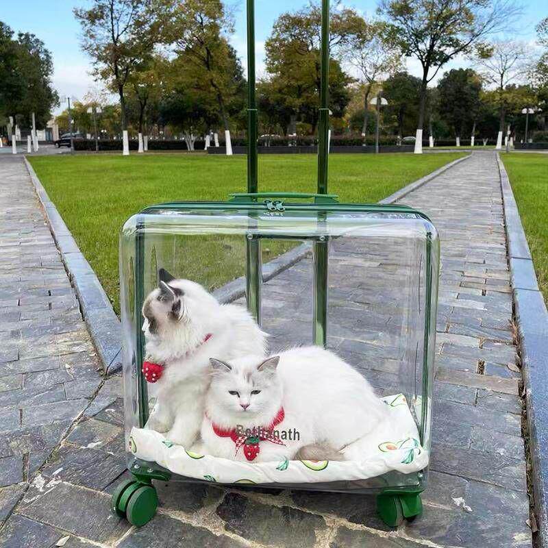 宠物拉杆箱外出便携透明猫包狗狗小推车太空舱两只猫咪超大行李箱