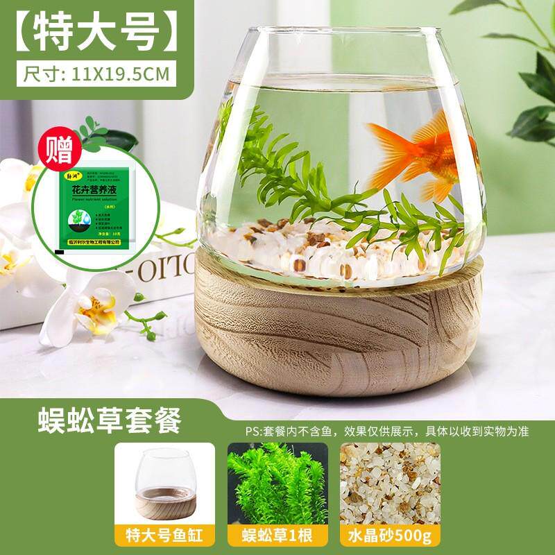 桌上小鱼缸办公室透明鱼缸玻璃乌龟缸客厅家用桌面金鱼缸小型迷你