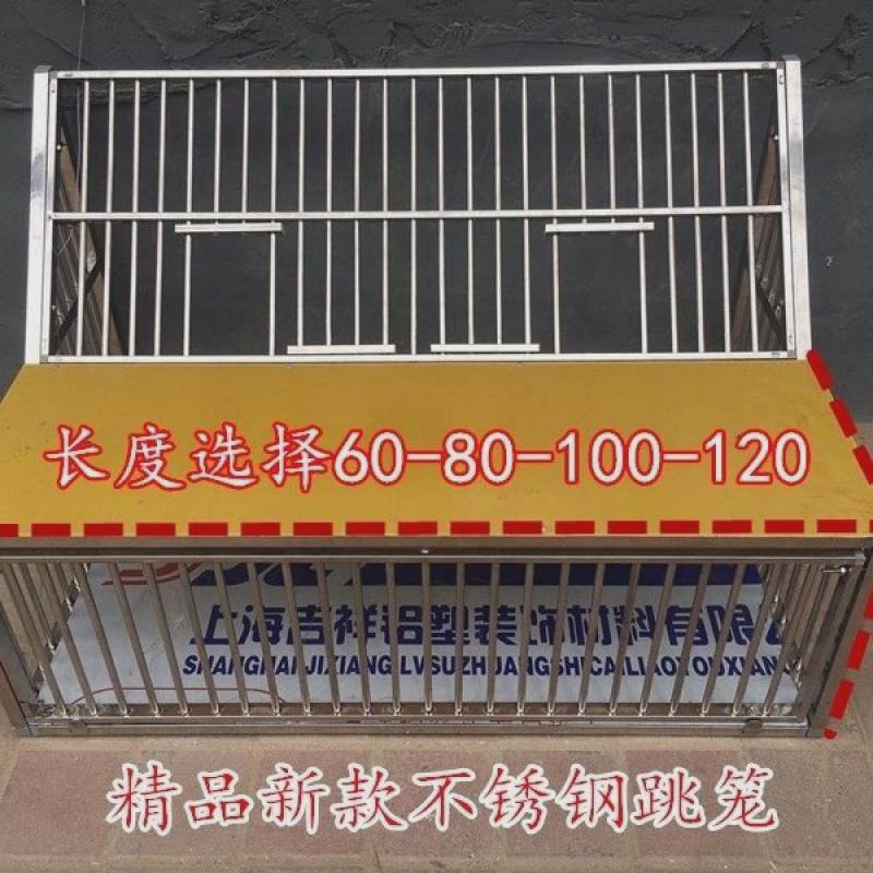 鸽子跳笼进出门信鸽赛鸽用品鸽舍只进不出笼门撞门电子跳笼