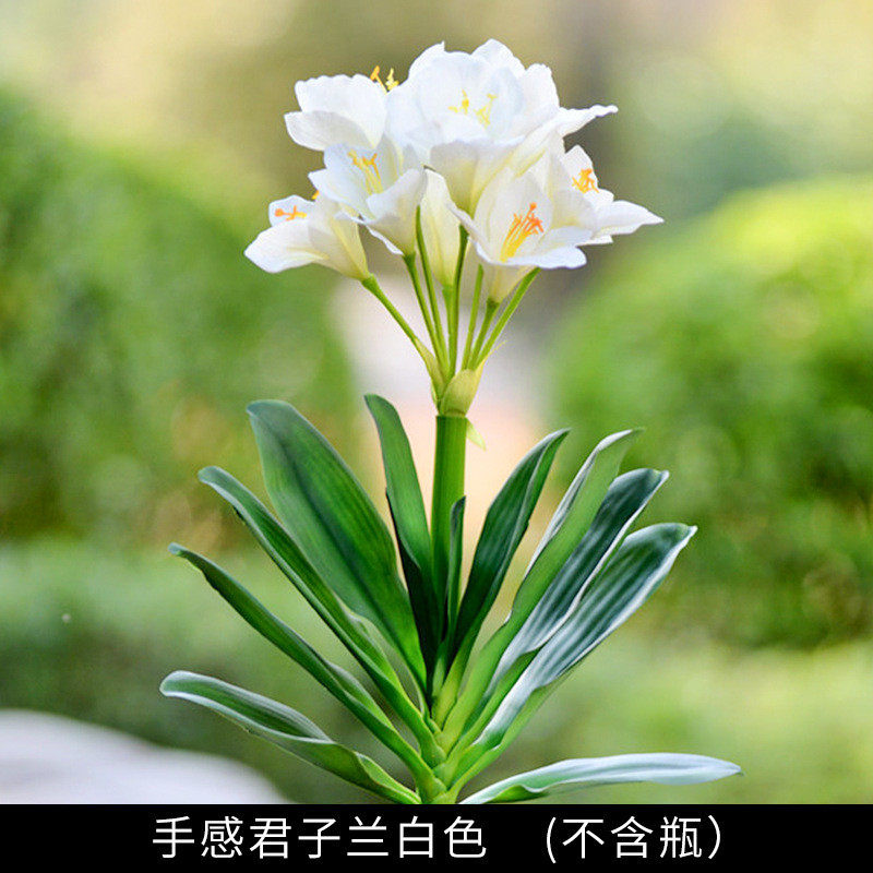 君子兰盆景花假花套装绿植室内客厅电视吧台摆放玄关柜装饰花包邮