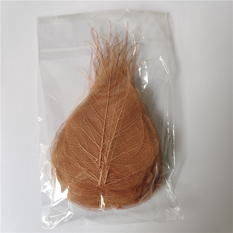 菩提叶树叶画叶子diy叶子画干树叶手工贴画装饰画天然叶脉