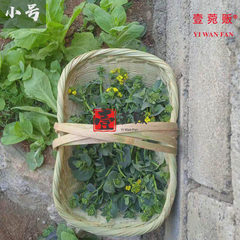 86M0贵州篮子竹编大号手提篮小号菜篮子鸡蛋水果蔬菜采摘篮家用收