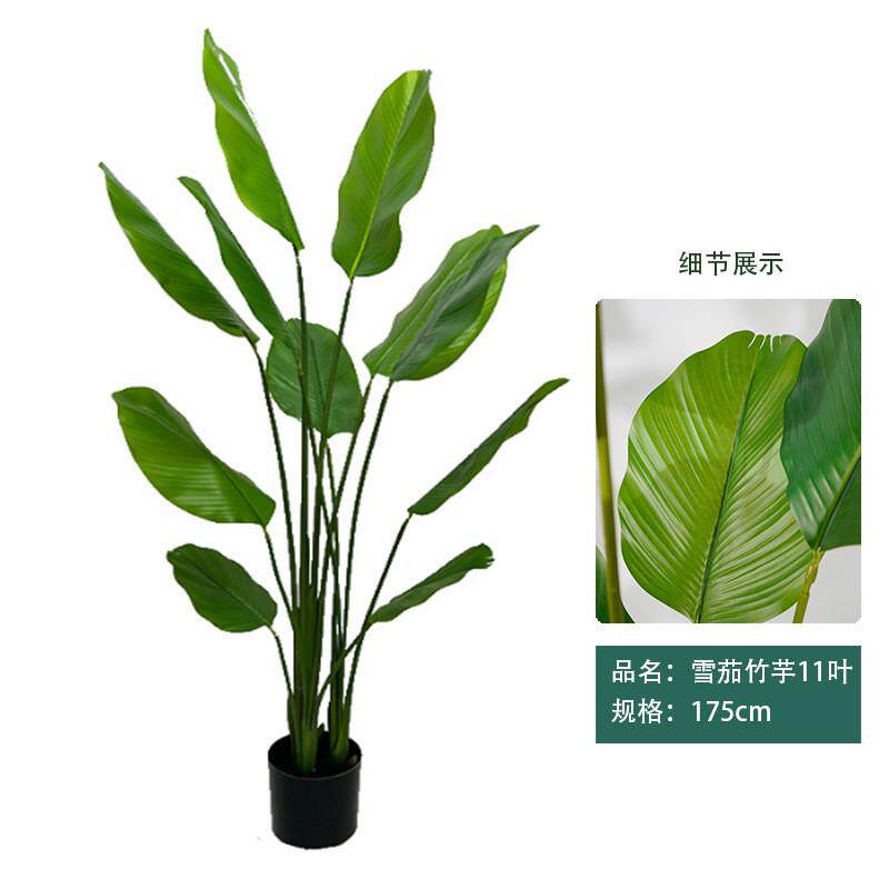 仿真绿植假植物旅人蕉室内盆栽轻奢装饰高端仿生天堂鸟客厅摆件树