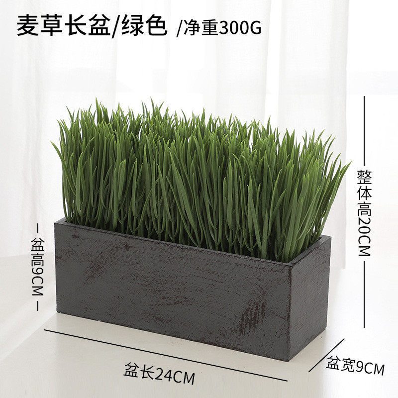 小麦草仿真植物豆芽菜麦苗家居客厅摆放假草装饰盆栽小绿植装饰