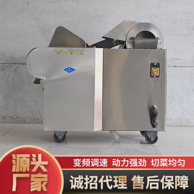 现货菜馅用学校单位食堂商用电动切丝切丁切段一体机多功能切菜机