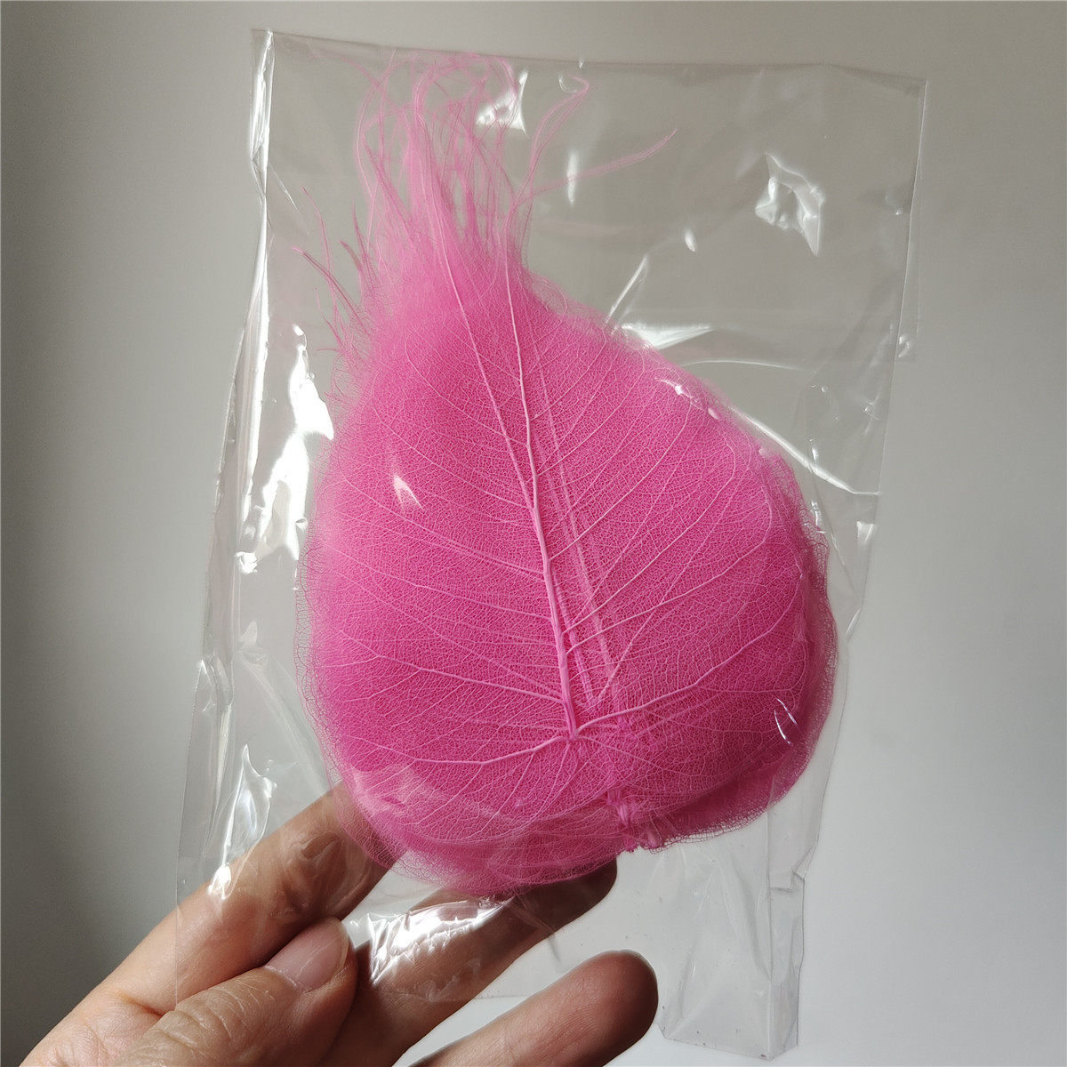菩提叶树叶画叶子diy装饰画画干树叶手工贴画叶子天然叶脉