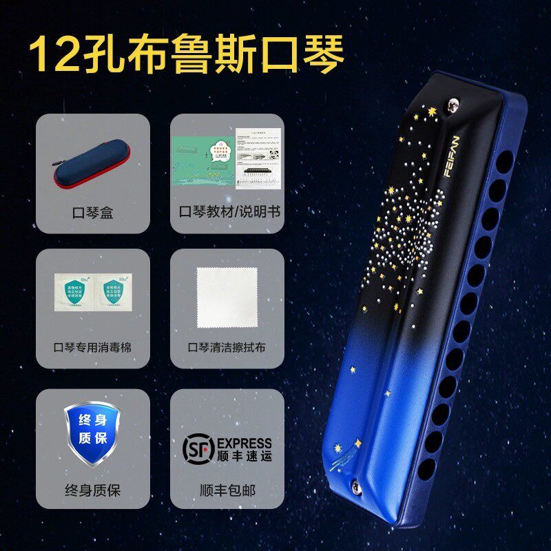 feifan/飞繁12孔布鲁斯口琴口琴f12全音阶专业演奏初学者入门星空