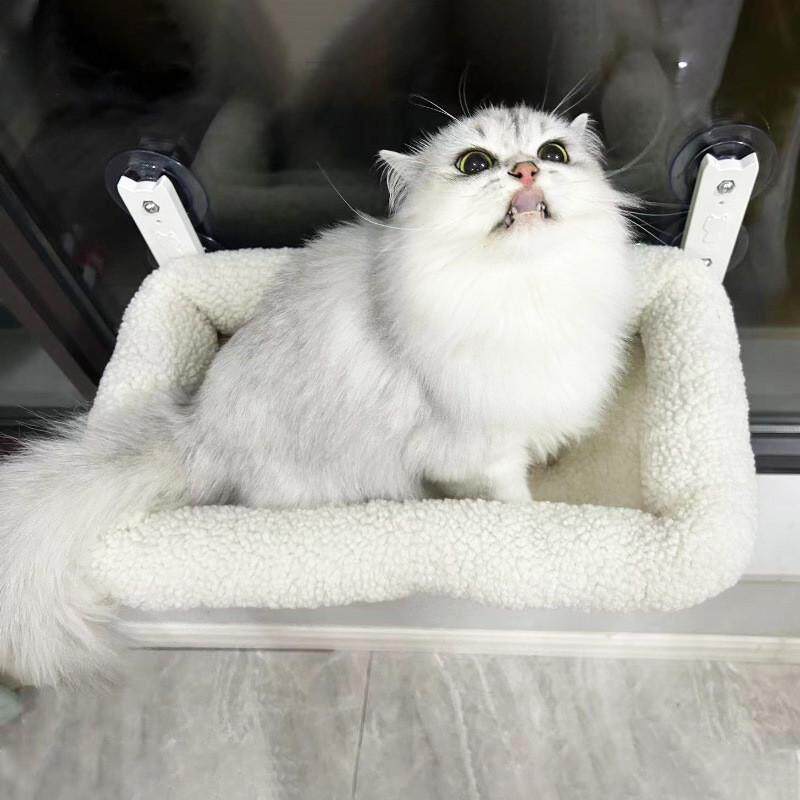 冬季厚款猫吊床毛绒垫挂玻璃猫窝温暖舒适多款式可选宠物用品,宠物/宠物食品及用品,猫笼子/猫别墅,淘宝优惠券,粉丝福利购,淘宝优惠卷