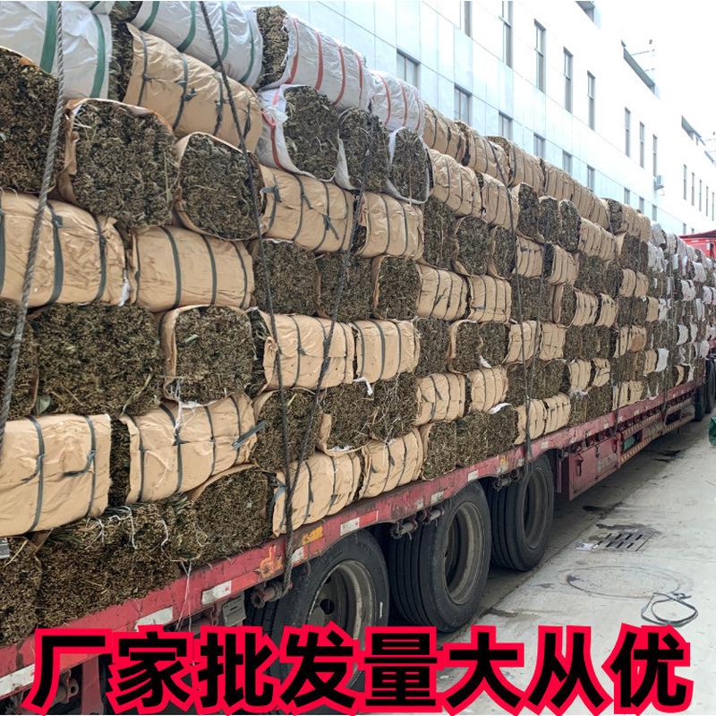 粽叶厂家批发端午节包粽子廖叶越南麻竹叶宽箬叶粑粑叶