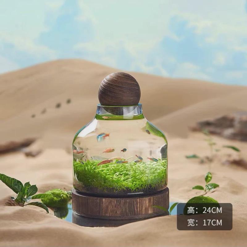 微景观生态瓶创意玻璃鱼缸diy造景鱼虾水草缸日式木托桌面办公室