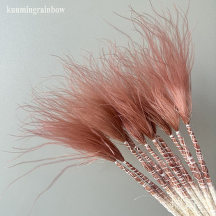 仙气百搭网红长针羽毛草仙女草绒茅家居装饰拍摄道具针毛草干花