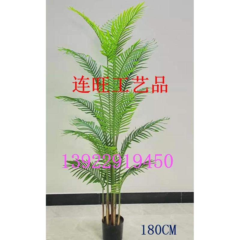 厂家直销仿真北欧风散尾葵假绿植盆栽北欧家居仿真散尾葵贵妃葵可