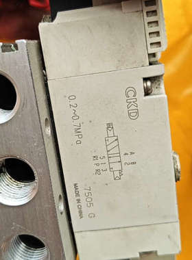 CKD电磁阀，4GD219-AC-FL630348，4GB2