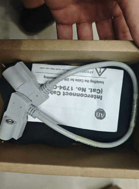 AB 罗克韦尔全新原装  1794CE1如图议价