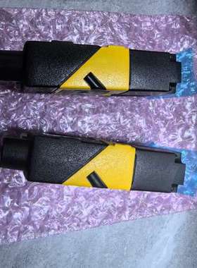 DM262X康耐视读码器